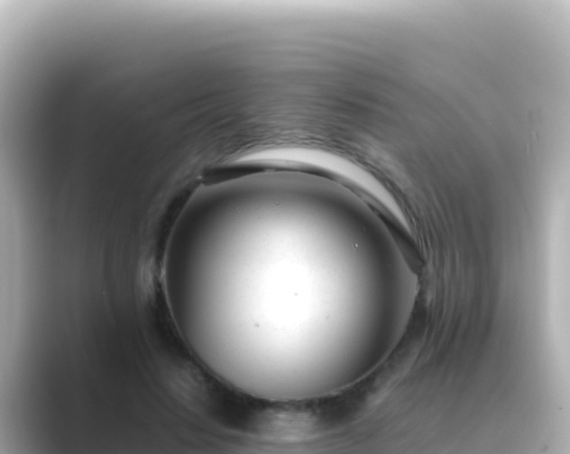X0000089430644200706221212