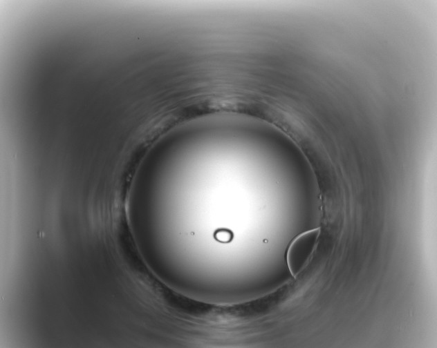 X0000089430648200706221212