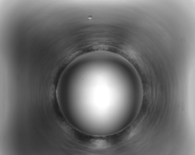 X0000089430649200706221212
