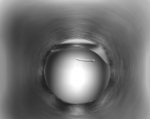 X0000089430652200706221212