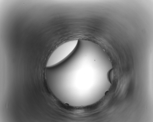 X0000089430653200706221212