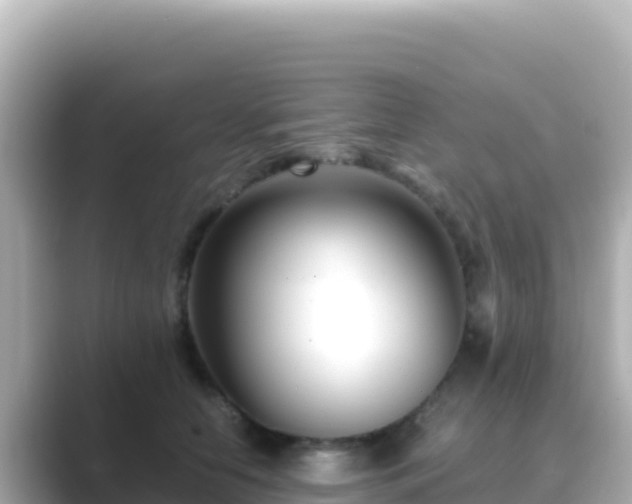 X0000089430658200706221212