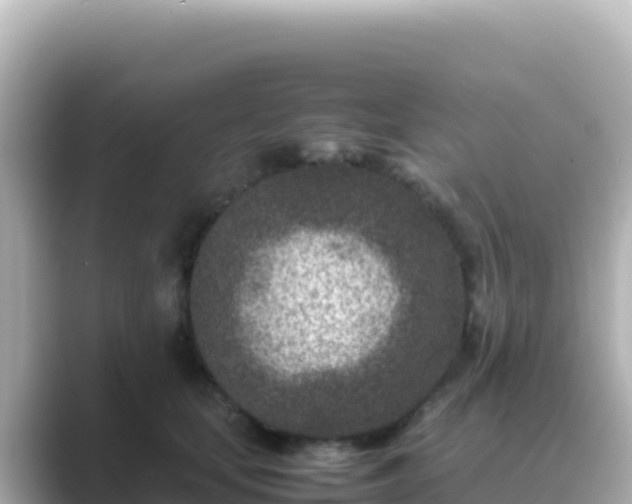 X0000089430659200706221212