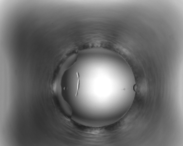 X0000089430661200706221212