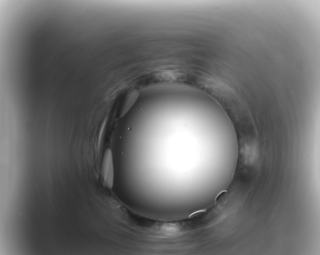 X0000089430665200706221212