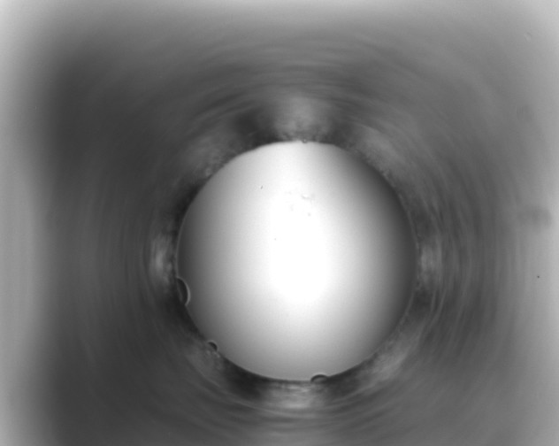 X0000089430671200706221212