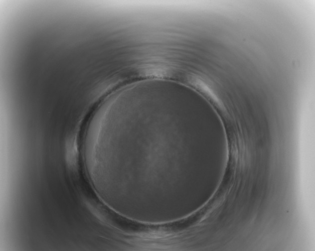 X0000089430674200706221212