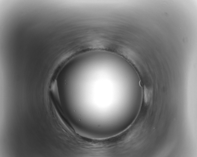 X0000089430675200706221212