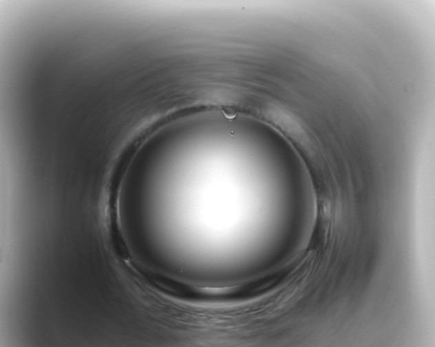 X0000089430676200706221212