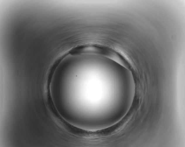 X0000089430677200706221211