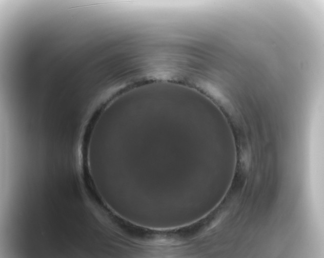 X0000089430678200706221211