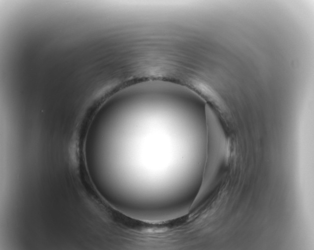 X0000089430680200706221211
