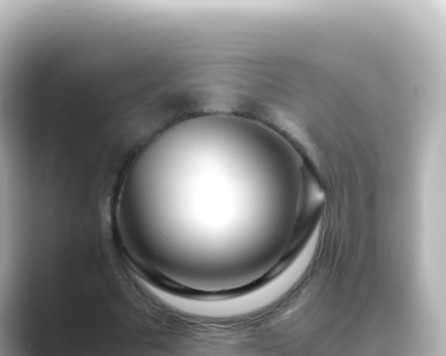 X0000089430681200706221211