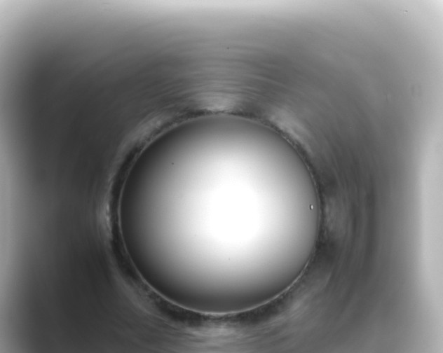 X0000089430682200706221211