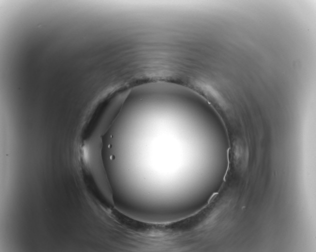 X0000089430684200706221211