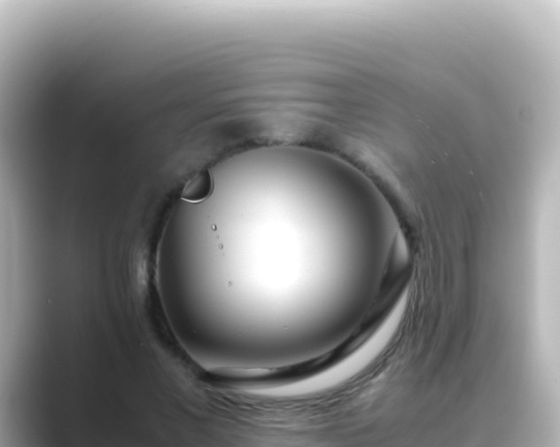X0000089430685200706221211