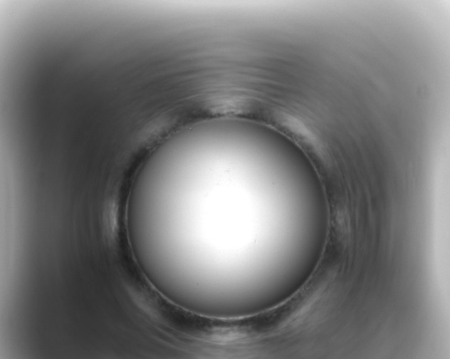 X0000089430686200706221211