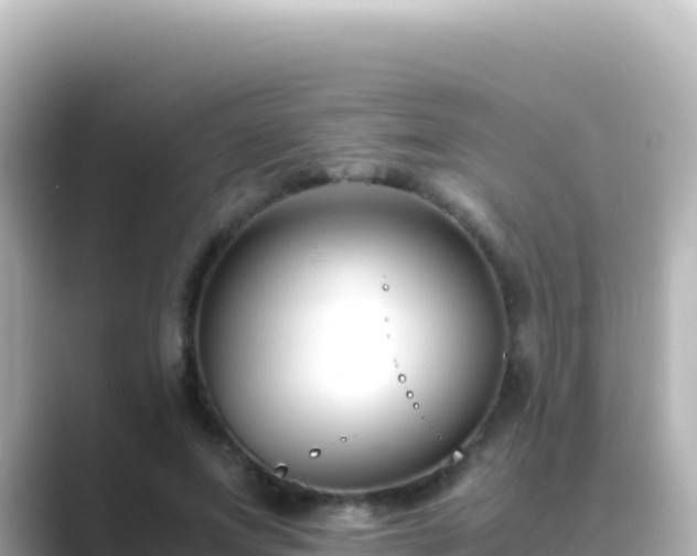 X0000089430687200706221211