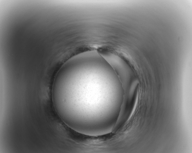 X0000089430689200706221211