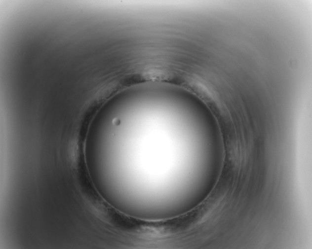 X0000089430690200706221211