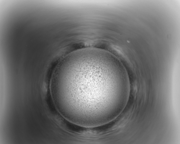 X0000089430691200706221211