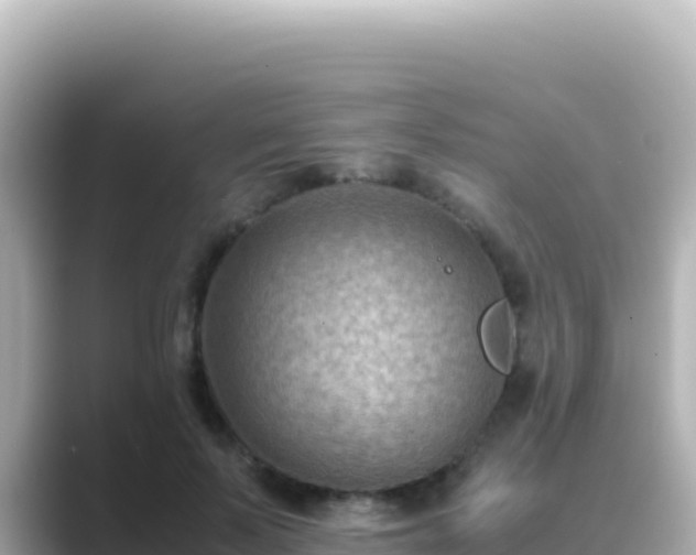 X0000089430695200706221211