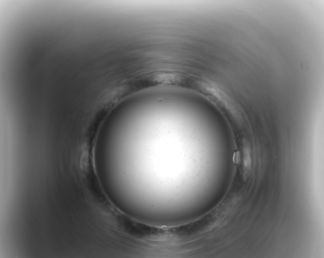 X0000089430696200706221211