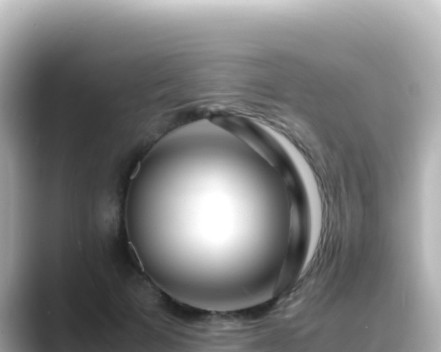 X0000089430697200706221211