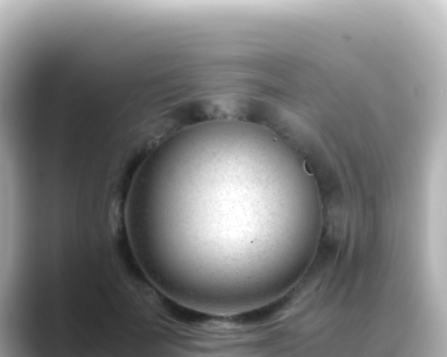 X0000089430699200706221211