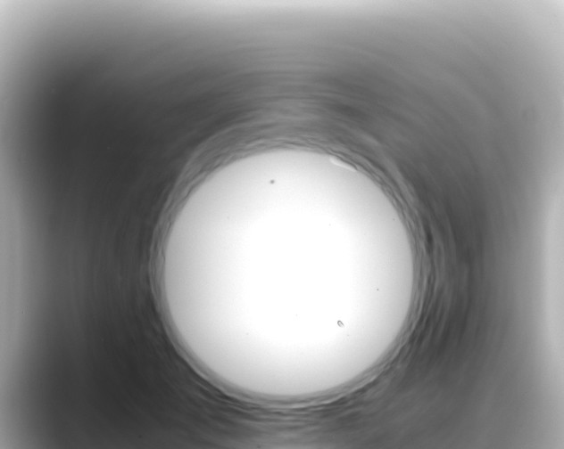 X0000089430701200706221211