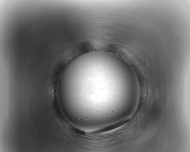 X0000089430703200706221211