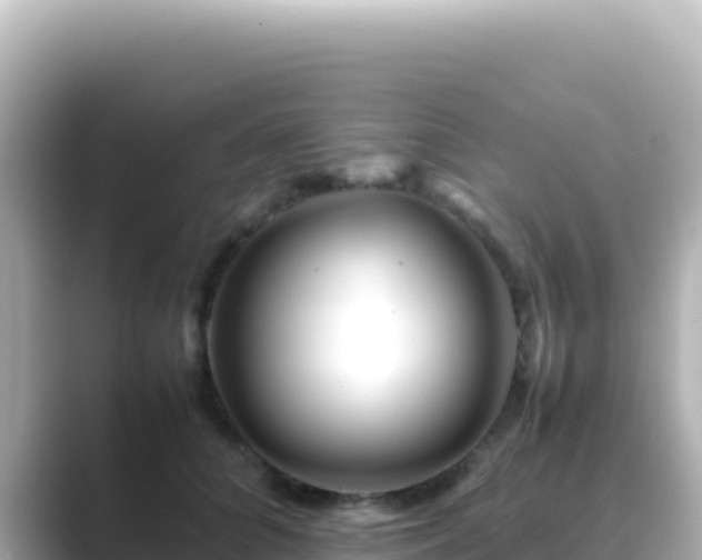 X0000089430704200706221211
