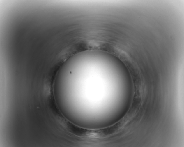 X0000089430706200706221211