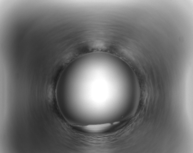 X0000089430708200706221211
