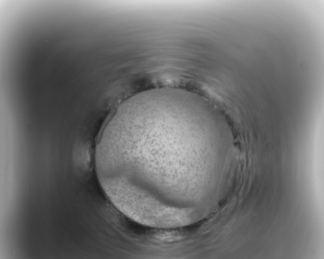 X0000089430709200706221211