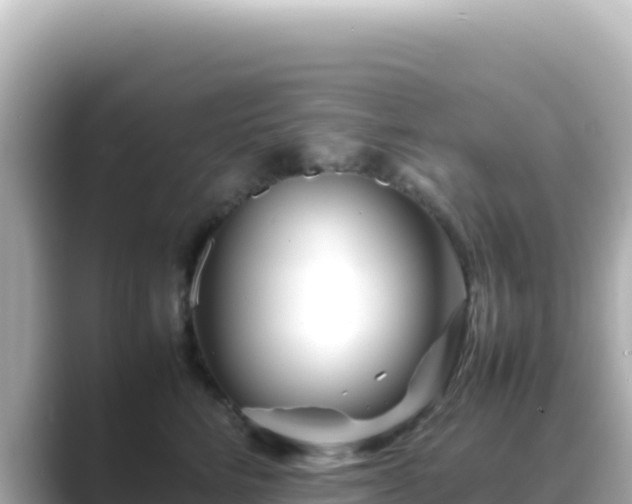 X0000089430712200706221211