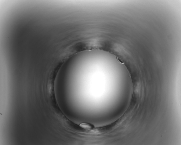X0000089430715200706221211