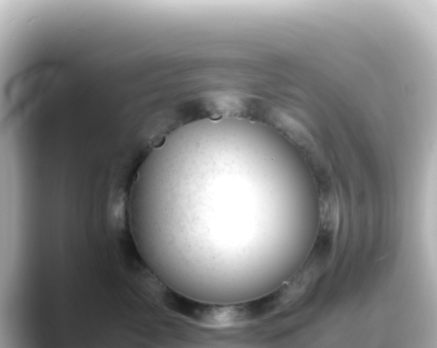 X0000089430717200706221211
