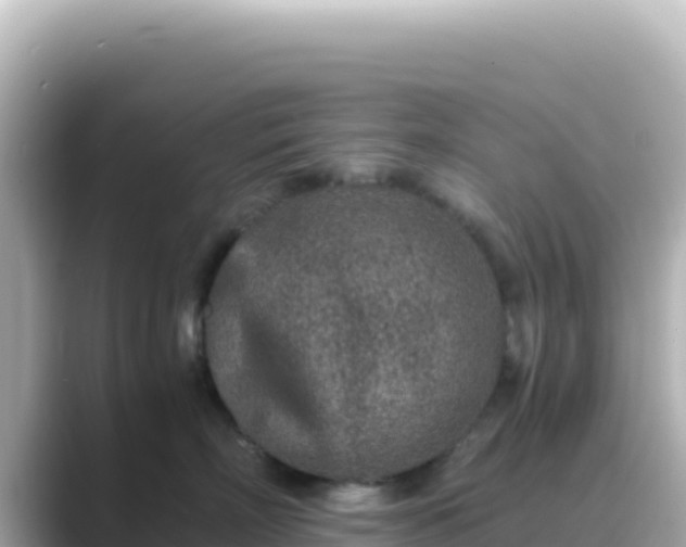 X0000089430718200706221211