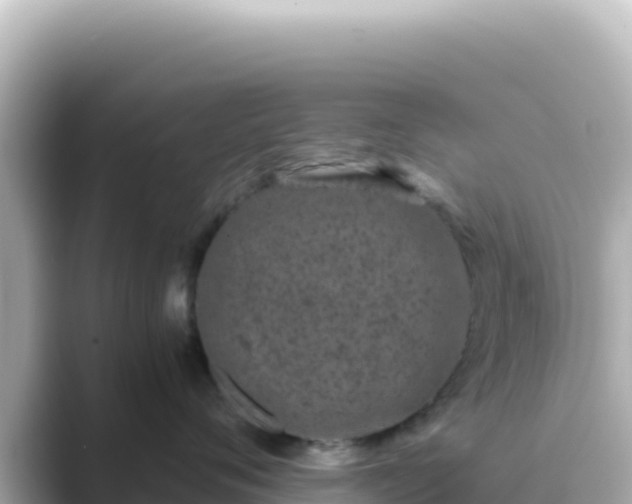 X0000089430720200706221211