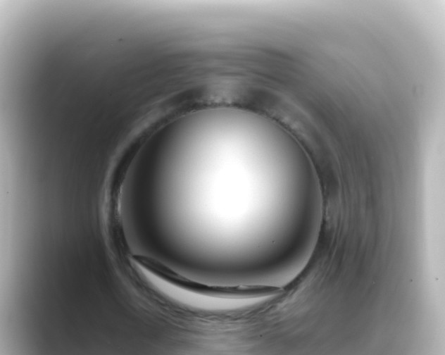 X0000089430722200706221210