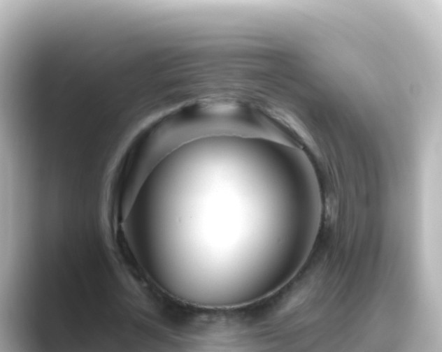 X0000089430724200706221210