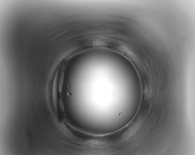 X0000089430725200706221210