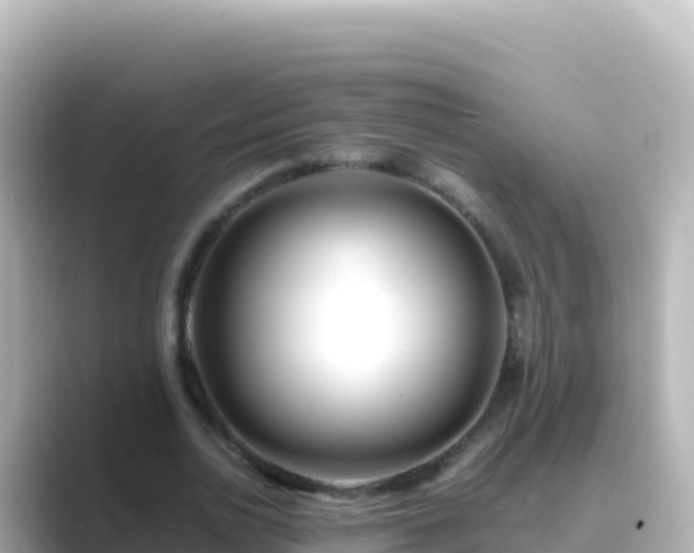 X0000089430726200706221210