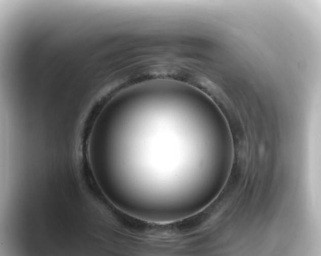 X0000089430727200706221211