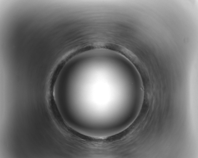 X0000089430728200706221211