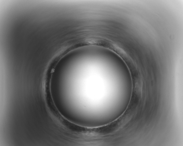 X0000089430730200706221211
