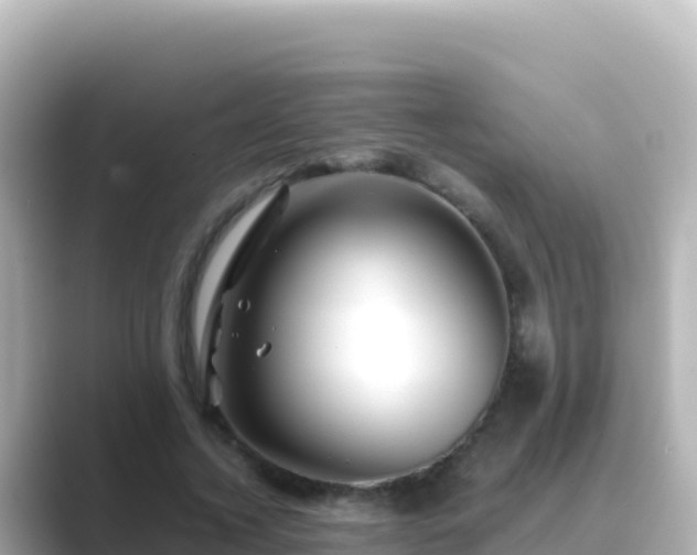 X0000089430732200706221211