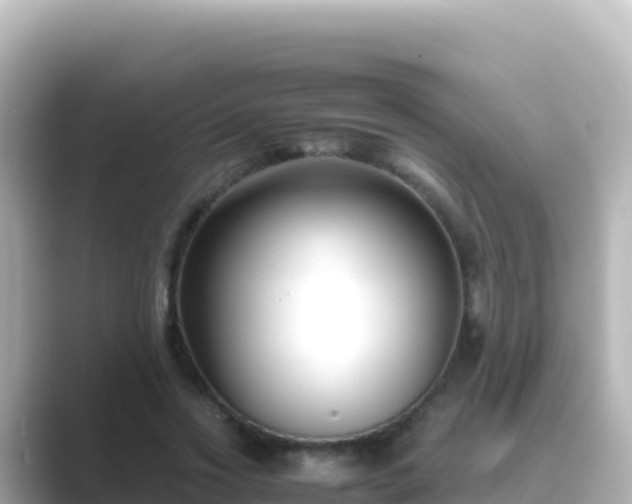 X0000089430733200706221211