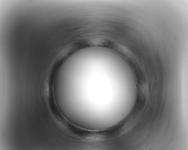 X0000089430734200706221211